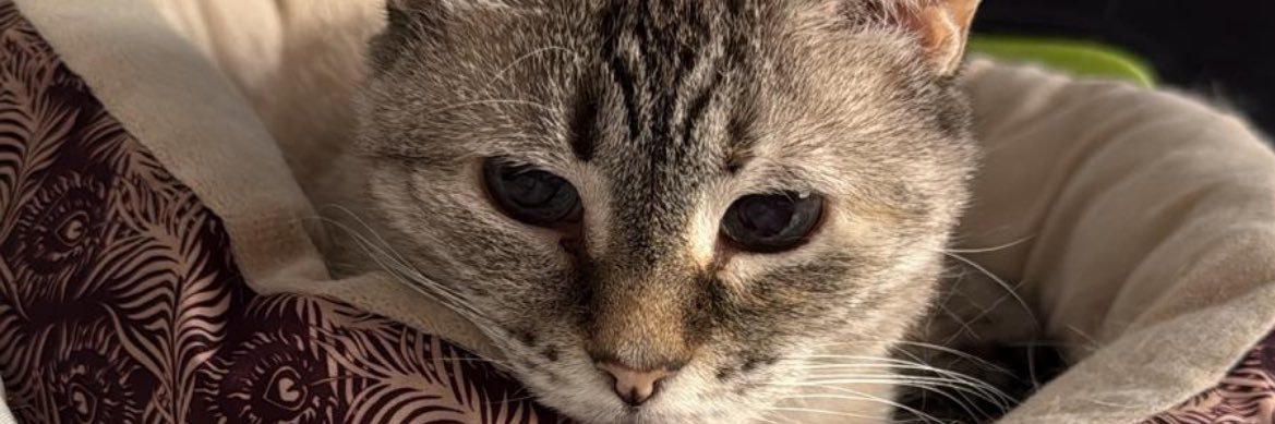 FredNewton_'s profile banner image
