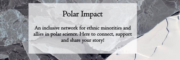 PolarImpact Profile Banner