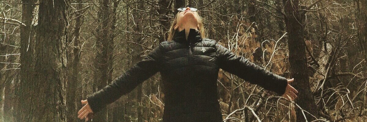 bibimandakovic's profile banner image