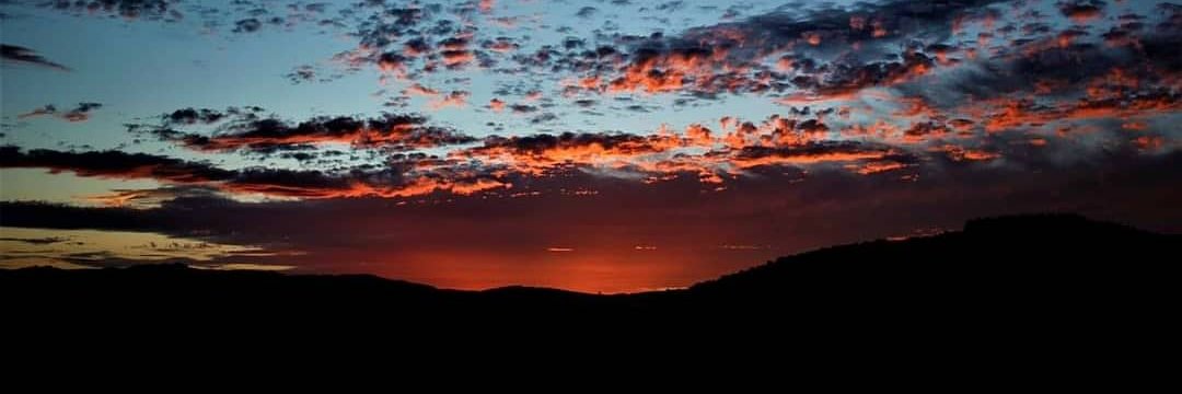 Nicolas Cossic banner