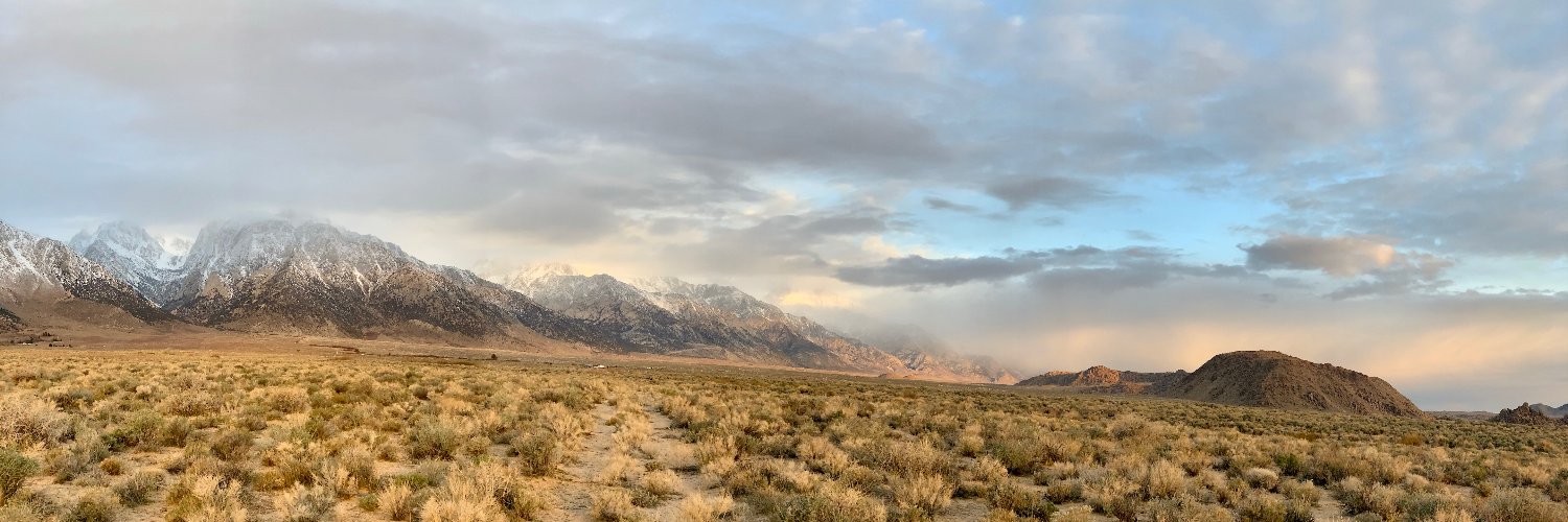 swald1's profile banner image