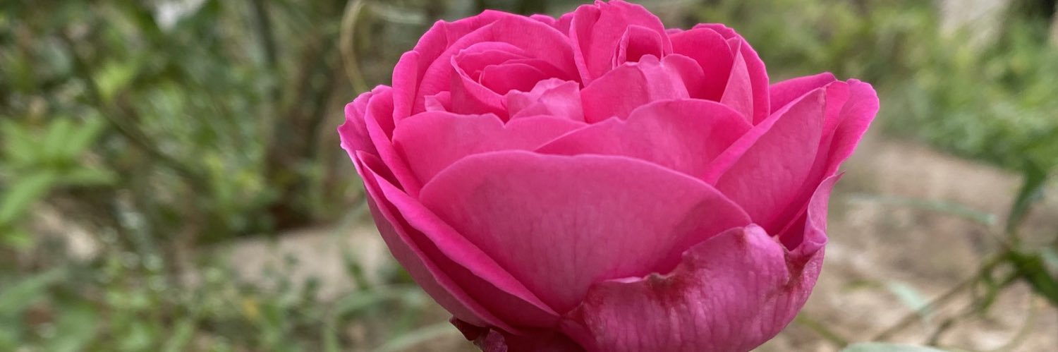 abdullahnaser's profile banner image