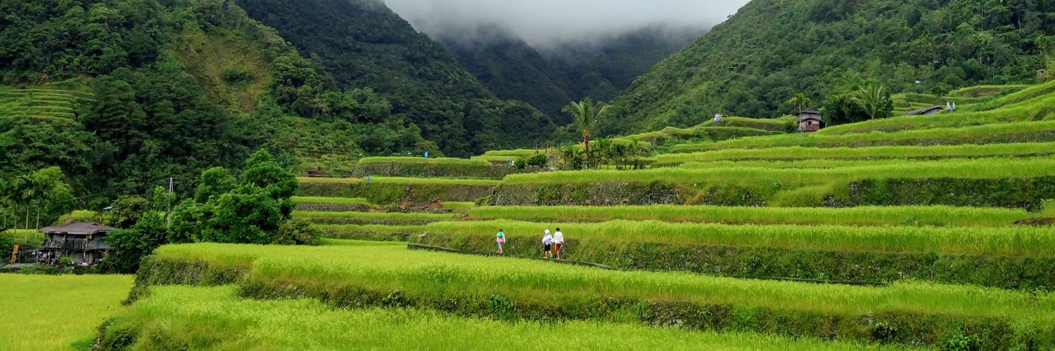 John Stephany Jr. banner