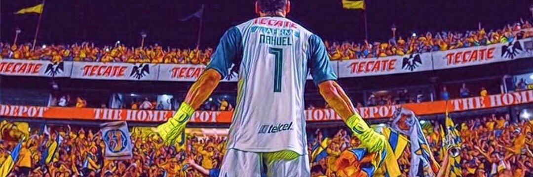 TestigodeNahuel's profile banner image