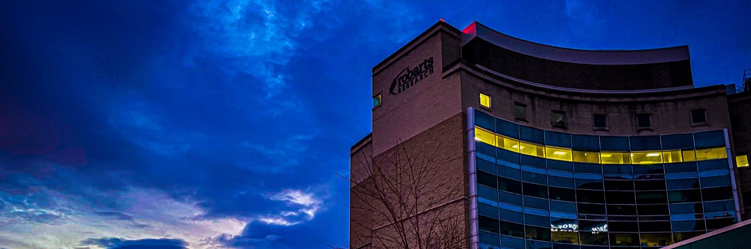 Matt Demmings banner