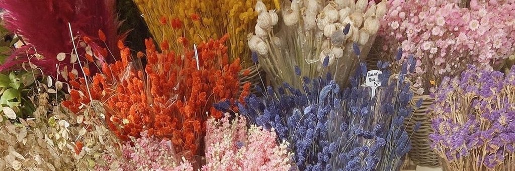 franciellefpk's profile banner image