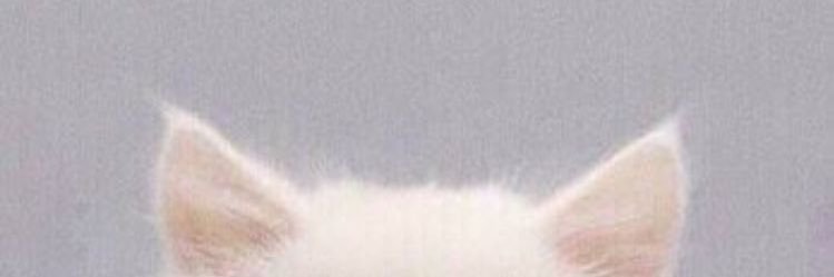 Juri__so1527's profile banner image