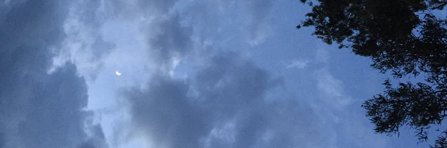 docmarentes's profile banner image