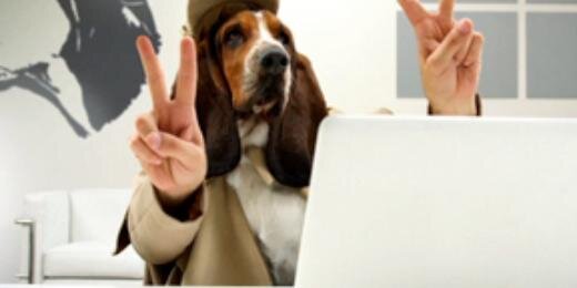 cabezadeperro95's profile banner image