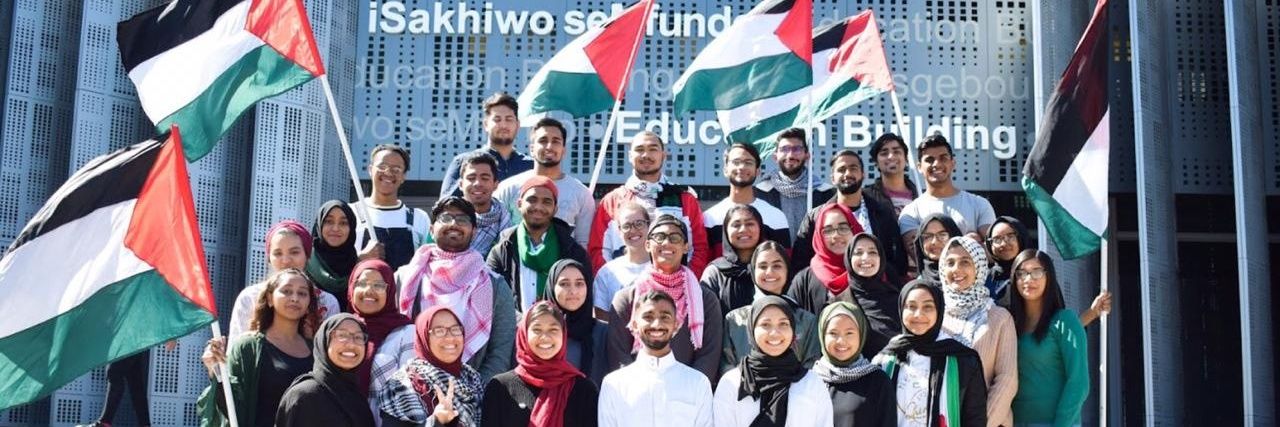 MSA TYGERBERG banner