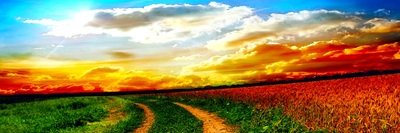 pikkio47's profile banner image