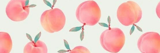 hannah harris banner