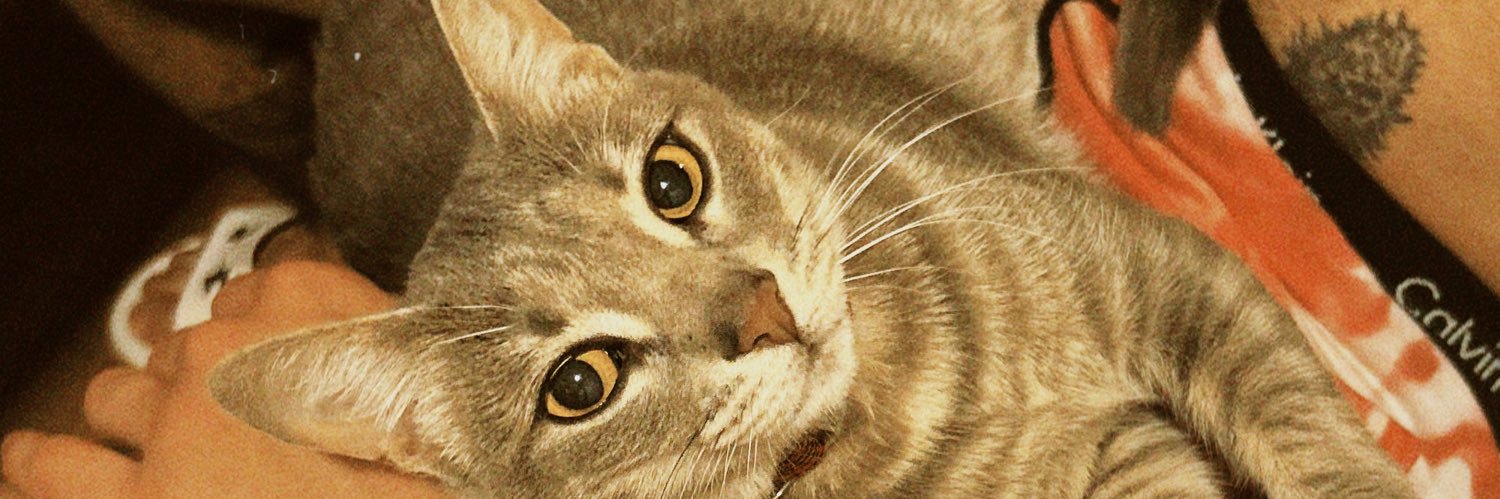 Colooo42's profile banner image