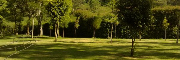 murokime Profile Banner