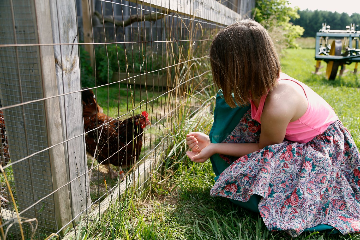 Fanshawe Pioneer Village banner