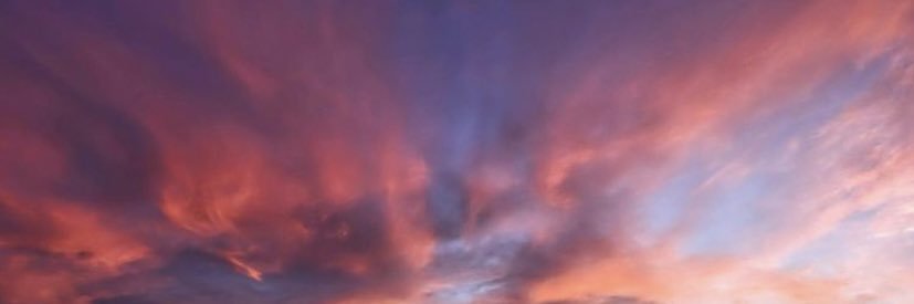 MassiCrippa's profile banner image