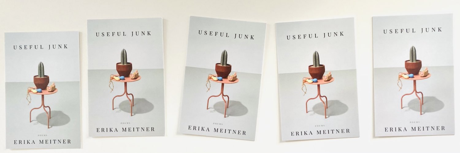 erika meitner banner