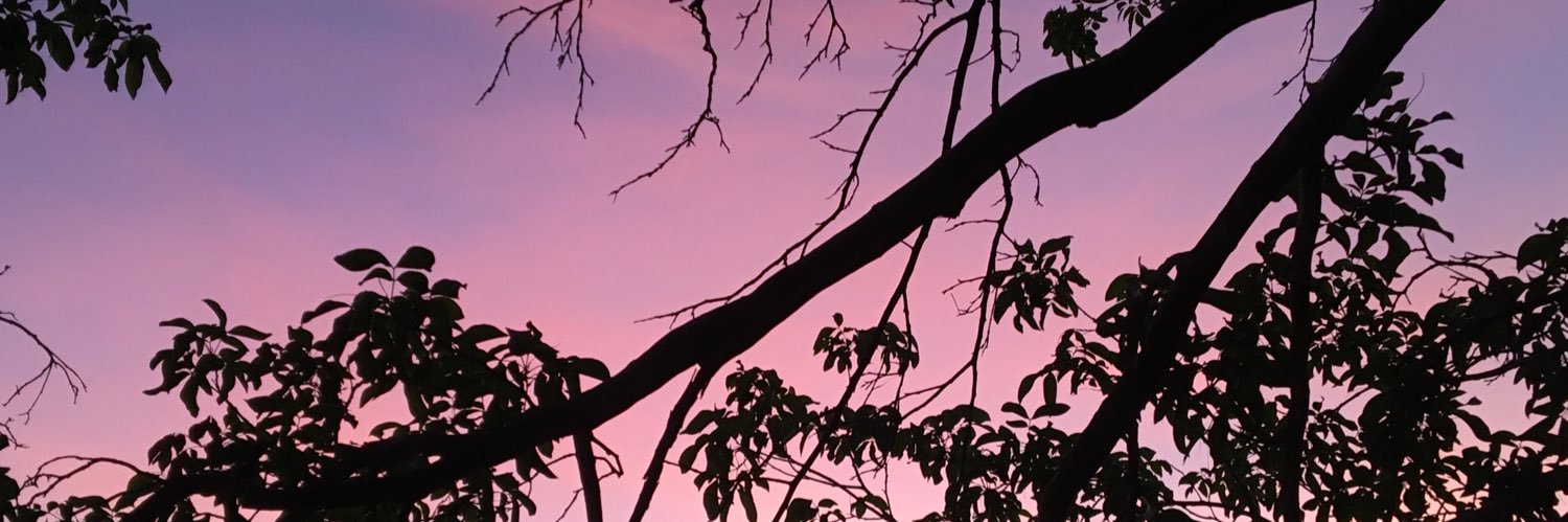 andystepanenko's profile banner image