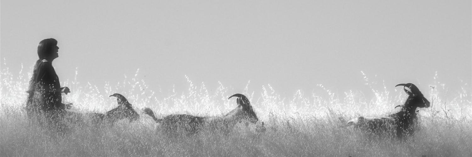TelepathicGoat's profile banner image