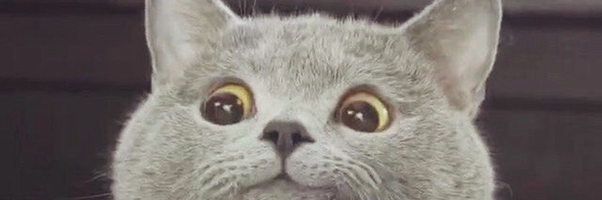 JessinMesss's profile banner image
