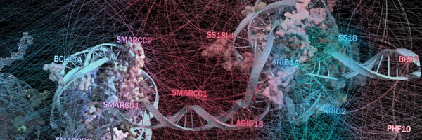 _SandraSchick Profile Banner