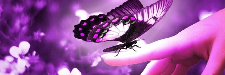 saespi's profile banner image