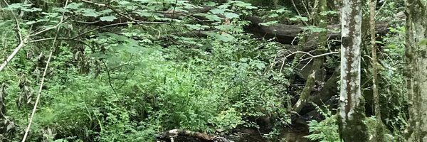 RCPearse Profile Banner