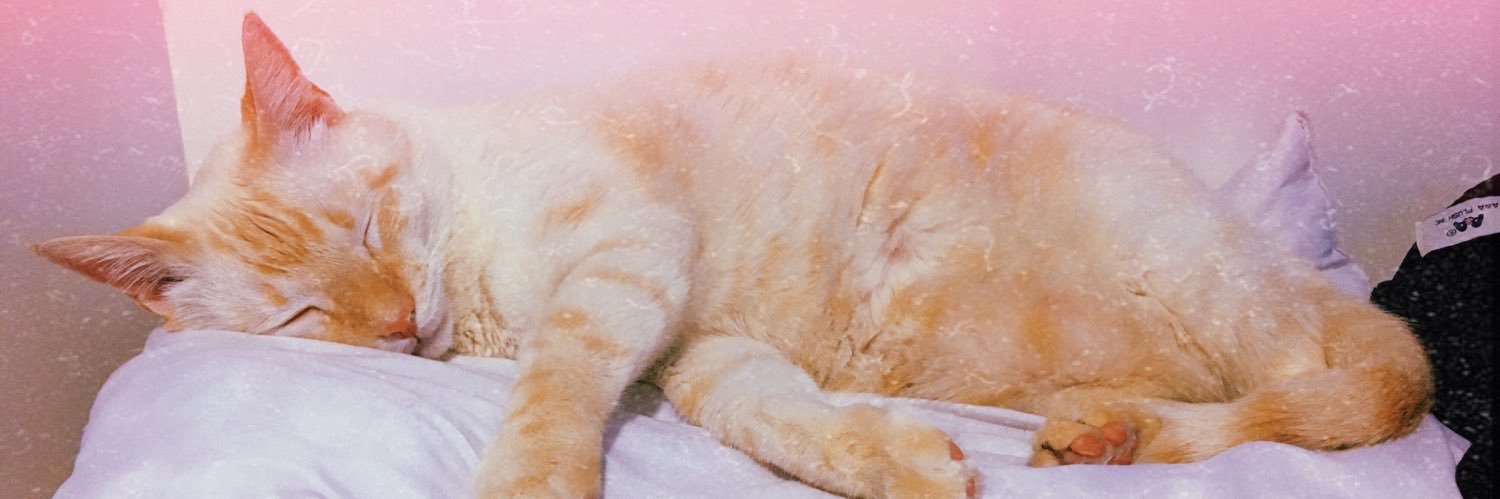 ValeeLopez_'s profile banner image
