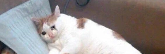 kvvlie's profile banner image