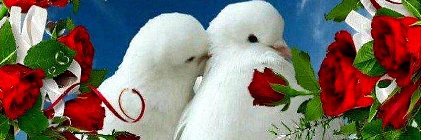 sa63samera's profile banner image