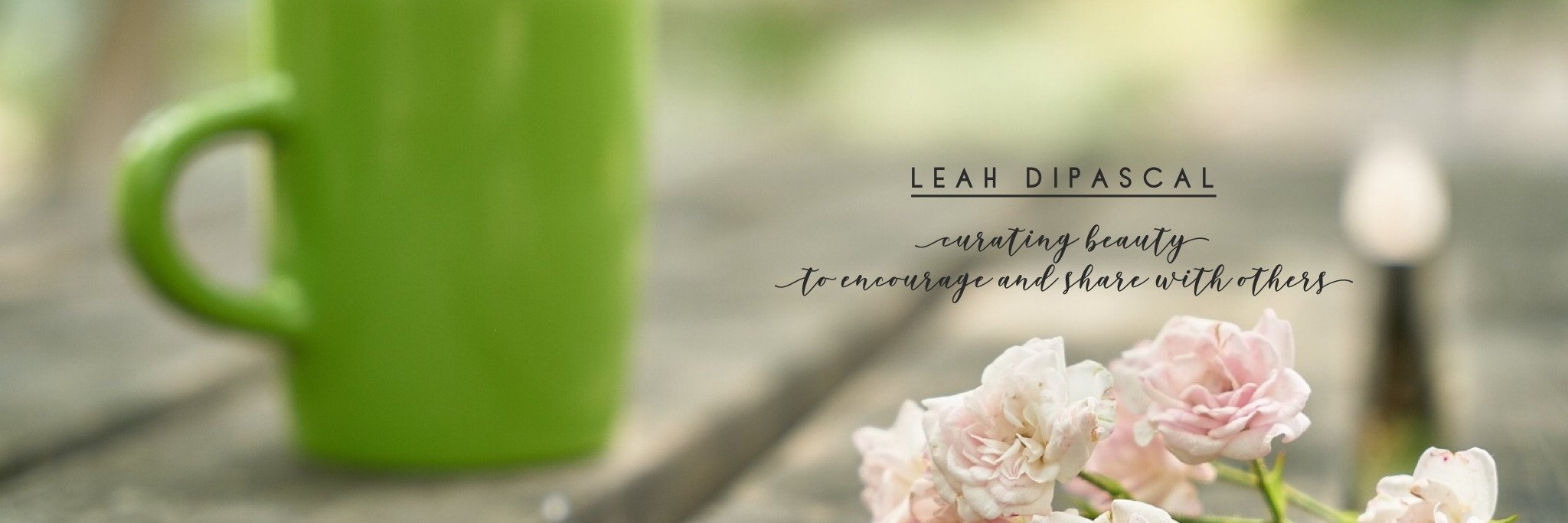 LeahDiPascal's profile banner image