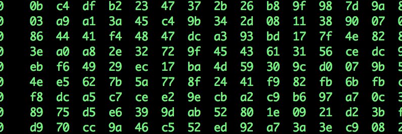 NYT Interactive News banner