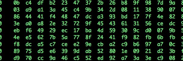 NYTInteractive Profile Banner