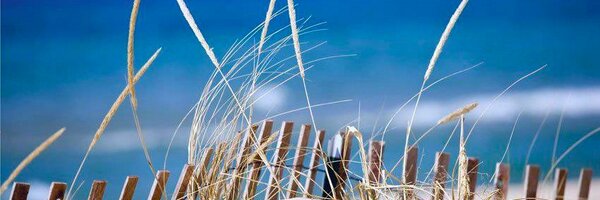 ShellMur13 Profile Banner