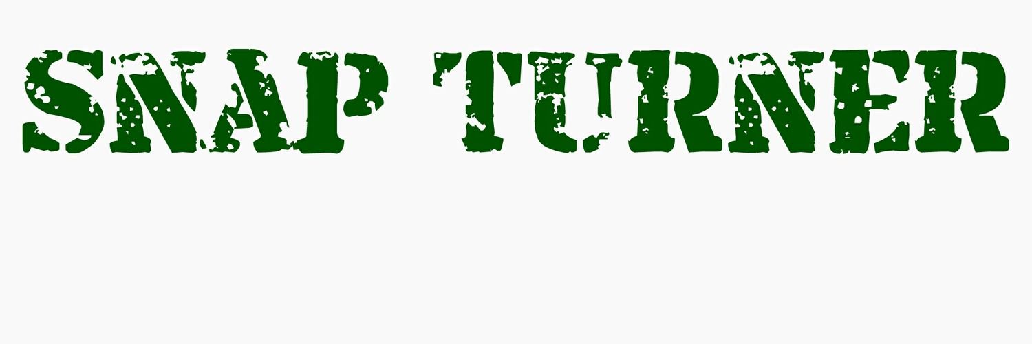 _SnapTurner's profile banner image