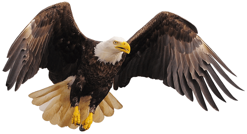 YouChat🇿🇼🇿🇼 banner