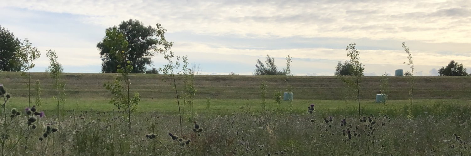 乇 🇩​🇬​🇦​🇷​ 卄​🇪​🇰 banner