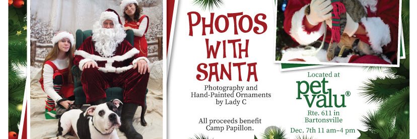 camppapillon's profile banner image