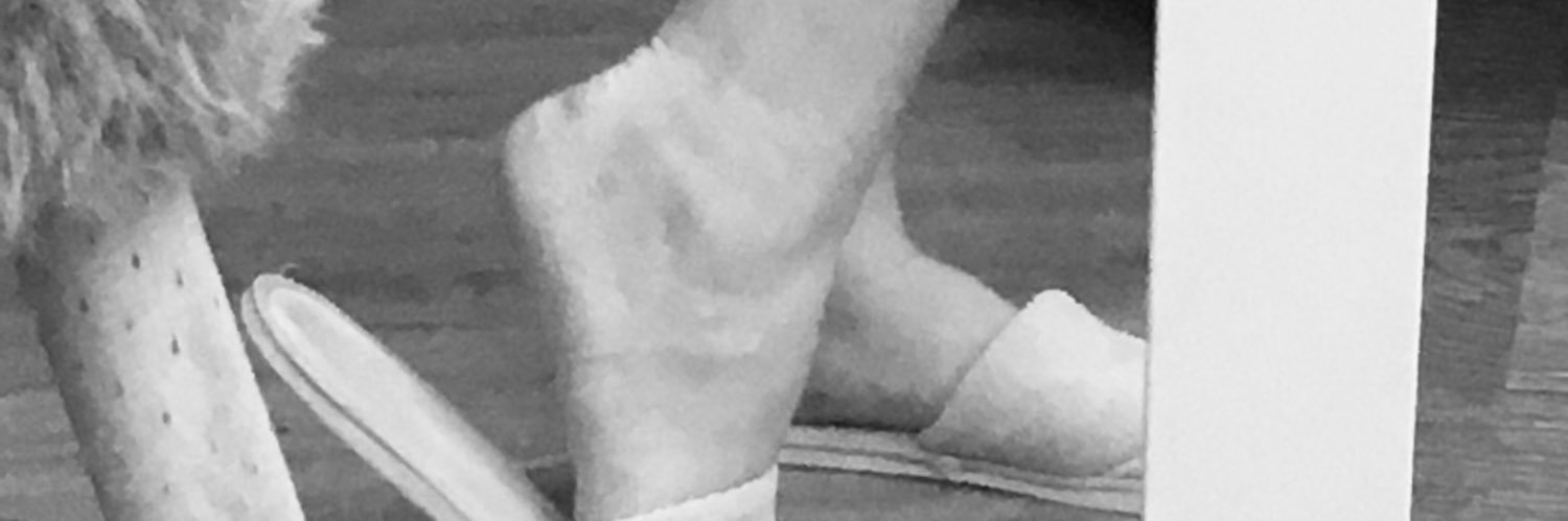 NellyShelly banner
