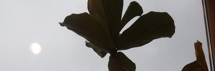 EdaMahmutolu2's profile banner image