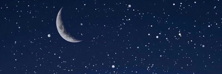 tigcafestaff's profile banner image