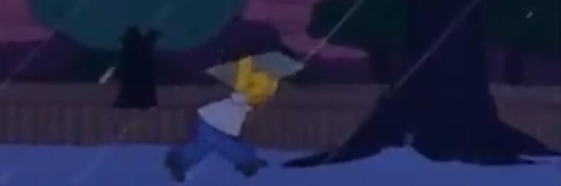 s banner
