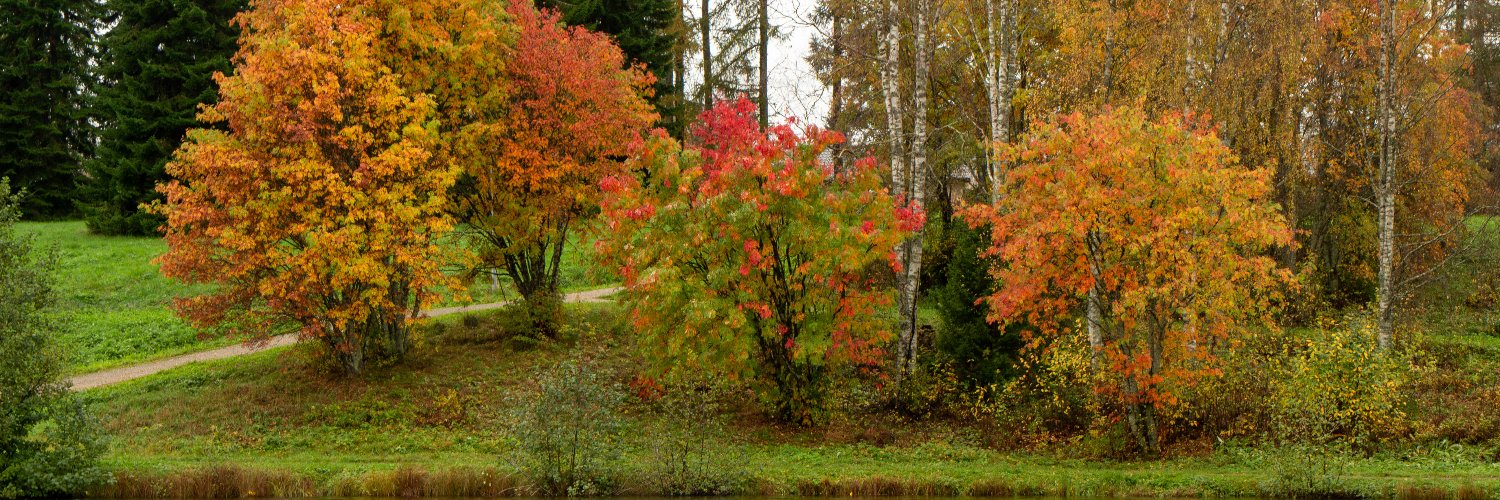 QBCDesigns🇫🇮🏴‍☠️ banner