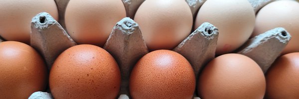 TwittusAndronic Profile Banner