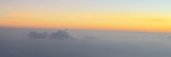 luluca_luluca Profile Banner