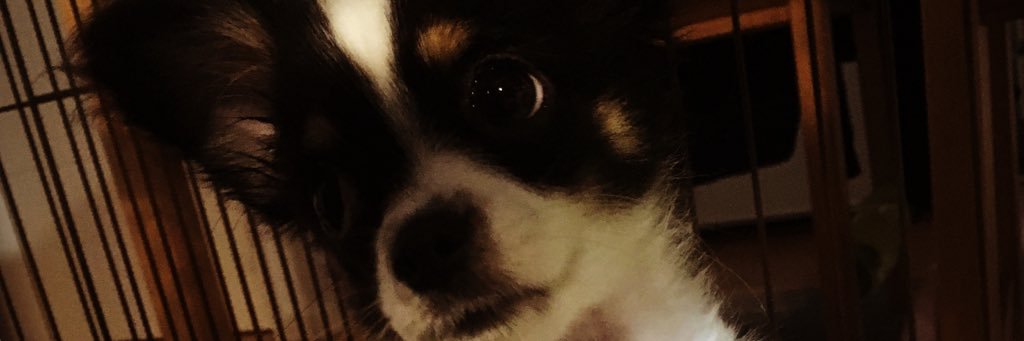 _nyask's profile banner image
