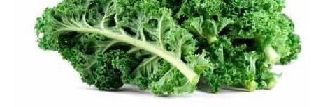 CyclingVeg's profile banner image