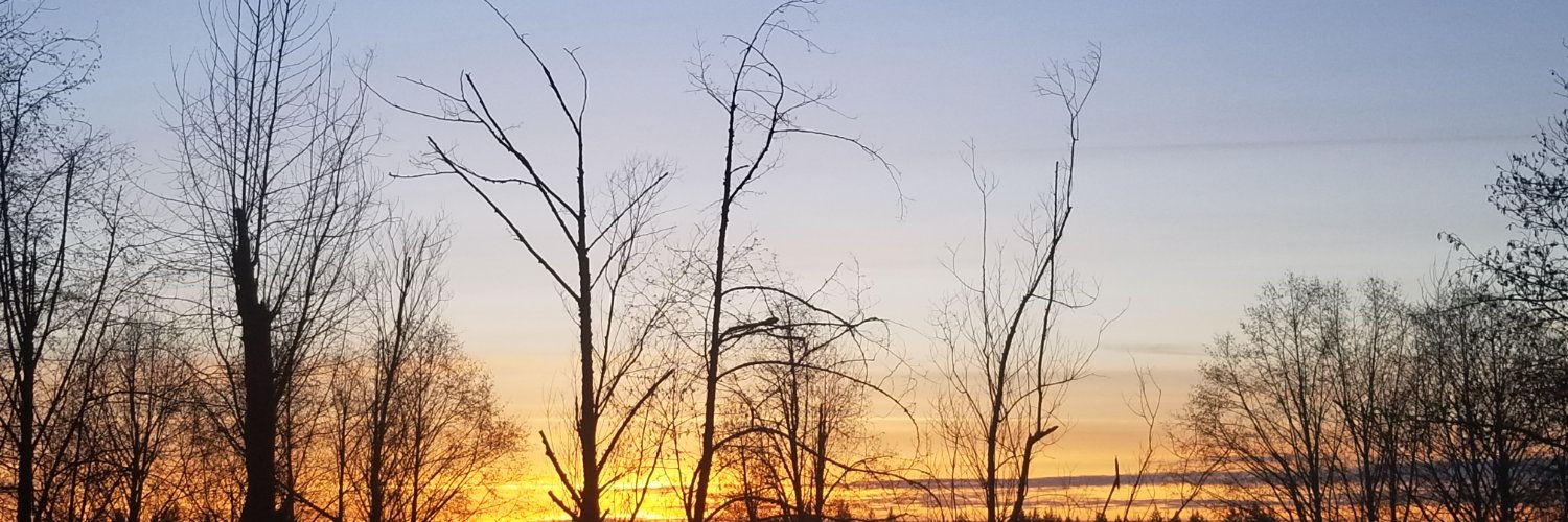 MW_MMXXIV's profile banner image