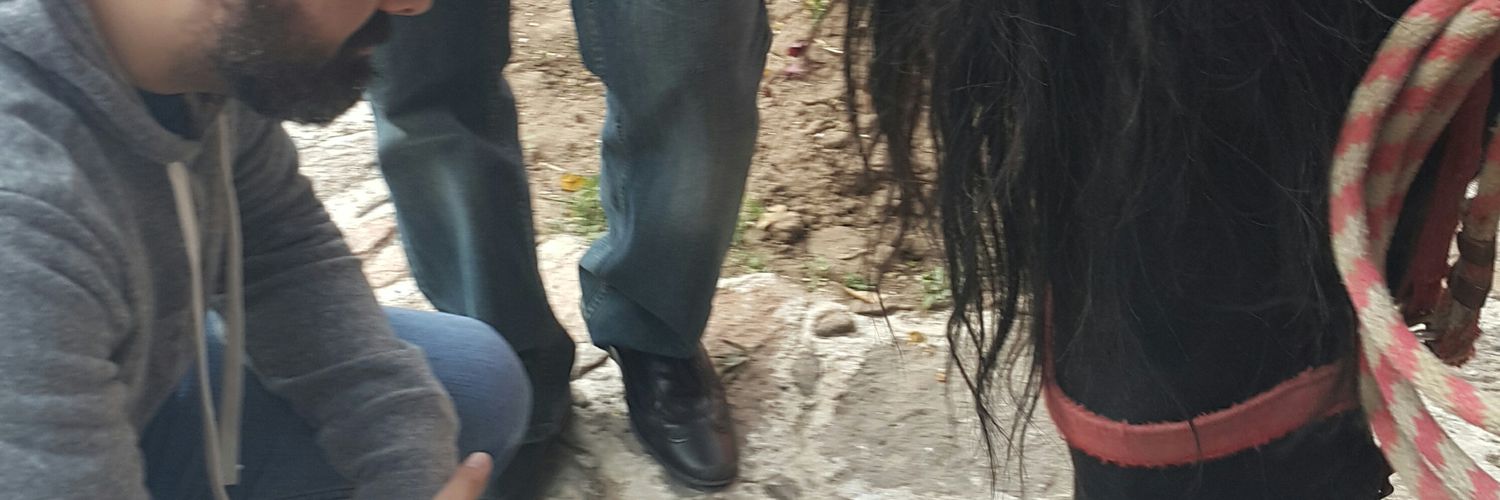 🇲🇽 Cui Cui 🇲🇽 banner