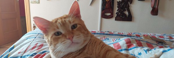 bernabeu_soler Profile Banner